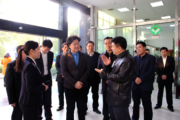 舒晓琴在湘渝黔调研时强调 以法治为引领深入推进信访工作制度改革 努力做好经济发展新常态下的信访工作